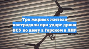 Три мирных жителя пострадали при ударе дрона ВСУ по дому в Горском в ЛНР