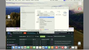2 часть Албаков Хамит Хусенович ИП