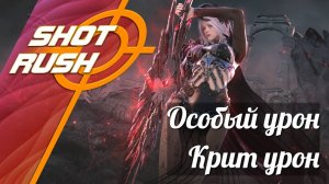 Black Desert BDO: Как теперь работает Особый Урон и Крит урон в БДО