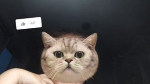 я научилась монтировать видео