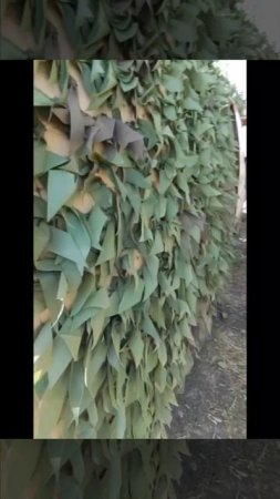 Бронированные инкассаторские машины из Красноярска работают в зоне СВО