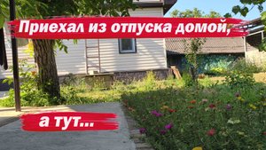 Приехал домой а тут...
