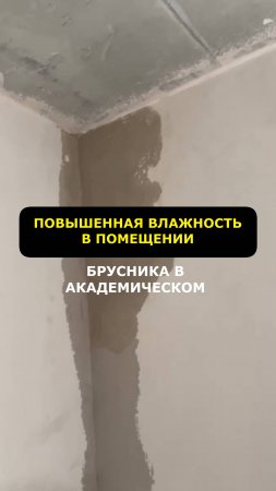 Водичка