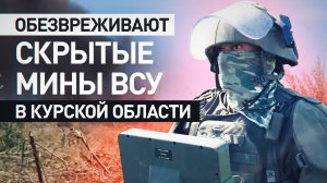 «Детские игрушки заминированные»: сапёры рассказали о ловушках ВСУ в Курской области