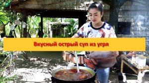 Вкусный острый суп из угря