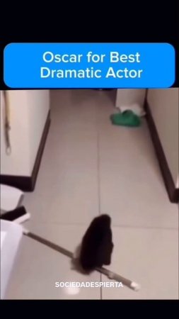 1000066675.mp4