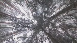 Карелия зимой, баня прорубь и легенда о Гром камне