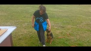 Элизхаус Жара ( Зарекс ф. Фростен & Вильдфанг Бентли )