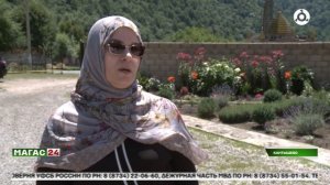 Лучшие личные подсобные хозяйства в Ингушетии