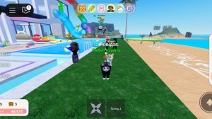 игра с котятами