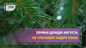 Первые дожди августа не причинят ущерб краю
