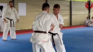 Киокушинкай 2