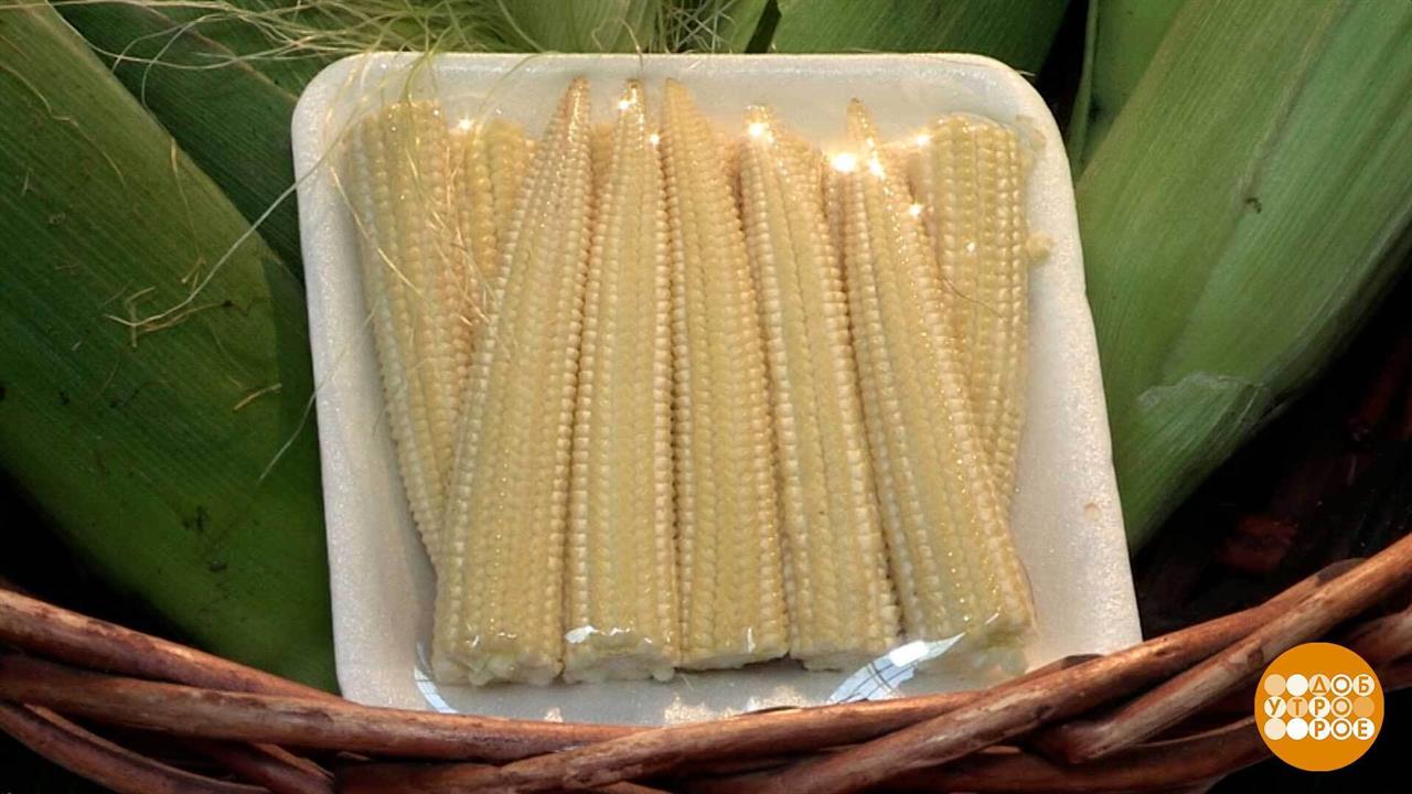 Кукуруза: налетаем, пока сезон! Доброе утро. Фрагмент выпуска от 31.07.2025