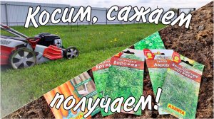 Удалитель сорняков - ПОЛЕЗЕН или НЕТ? ТО газонокосилки перед СЕЗОНОМ!