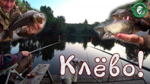 КРУПНЫЙ КАРАСЬ, ОГРОМНЫЙ РОТАН С ПИРСА НА УДОЧКУ, ДЖИГ, ЖИВЦА, ТАГИЛЬСКАЯ ВЕНЕЦИЯ, РЫБАЛКА НА УРАЛЕ!