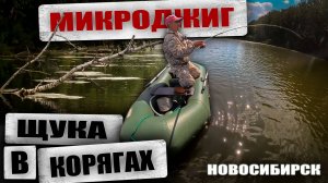 Ловля ЩУКИ на МИКРОДЖИГ в КОРЯГАХ / Рыбалка в НОВОСИБИРСКЕ.