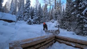 ТАЁЖНЫЙ КАПКАН. ТАЙГА ЗАСЫПАЕТ СНЕГОМ, ПРОДОЛЖАЮ СТРОИТЬ ИЗБУ СВОИМИ РУКАМИ.ТЯЖЁЛЫЕ УСЛОВИЯ В ТАЙГЕ