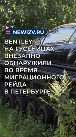 Bentley на гусеницах внезапно обнаружили во время миграционного рейда в Петербурге