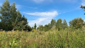 Продается земельный участок 10 соток в СНТ "Родничок-2" в Кармаскалинском районе РБ (дорога Р-240)