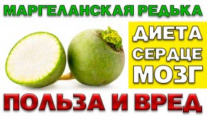 МАРГЕЛАНСКАЯ РЕДЬКА - ПОЛЬЗА И ВРЕД (ПОДАРОК ИЗ УЗБЕКИСТАНА)