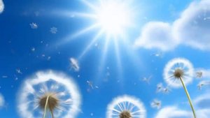 Живи да радуйся!