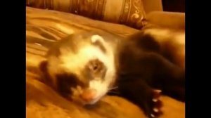 СМОТРЕТЬ ВИДЕО ПРИКОЛЫ 2025 _ НОВОЕ ВИДЕО 2025 _ ВИДЕО В ТОП _ ПРИКОЛЬНОЕ ВИДЕО 2025