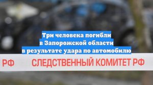 Три человека погибли в Запорожской области в результате удара по автомобилю