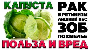 БЕЛОКОЧАННАЯ КАПУСТА - ПОЛЬЗА И ВРЕД (ЧТО СКРЫВАЕТ В СЕБЕ СВЕЖАЯ КАПУСТА)