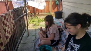 Лето в полном разгаре. Жизнь на пенсии.