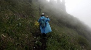 11954801_2560_1440_60fps