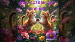 #Правила любви.