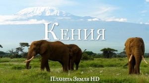 Кения HD - Живописный фильм о дикой природе с африканской Музыкой
