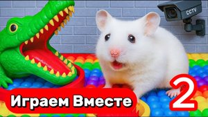 ЛАБИРИНТ С ЛОВУШКАМИ И КРОКОДИЛОМ ДЛЯ УМНОГО ХОМЯКА 🐹 ВЫБИРАЕМСЯ ЧЕРЕЗ ЛОВУШКИ ! ЧАСТЬ 2