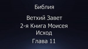 Библия. 2-я Книга Моисея Исход, глава 11.