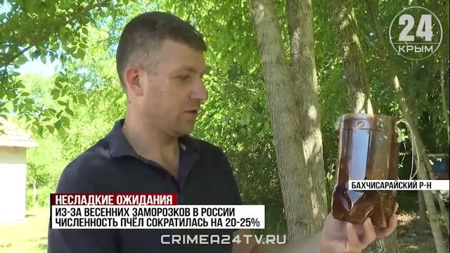 Несладкие ожидания: в Крыму под угрозой урожай мёда