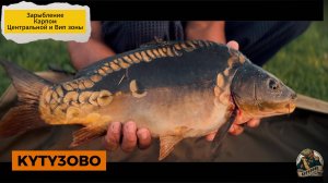 Запуск карпа в центральную и вип зону