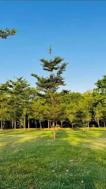 Аҳмад Зоҳир 692168586518209 смотреть онлайн