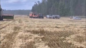 ЖАТВА 2025 В МЕНЗЕЛИНСКОМ РАЙОНЕ