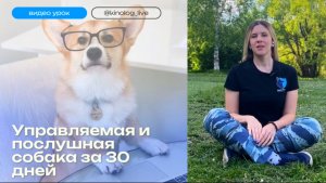 ПОШАГОВАЯ СИСТЕМА, как легко сделать собаку управляемой и послушной за 30 дней