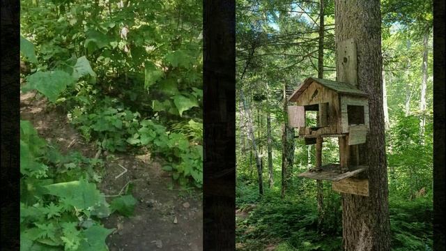 водопад Неожиданный