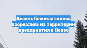 Девять беспилотников взорвались на территории предприятия в Пензе