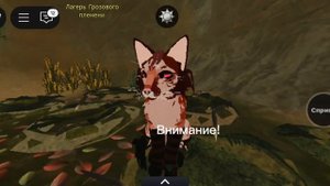 НАБОР В СЕРИАЛ "Чистота любви"