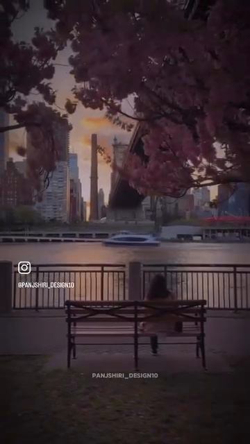 The one and only Ahmad Zaher _افغانستان смотреть онлайн