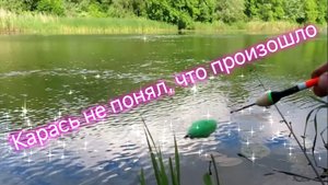 Секрет поплавка с поролоном Карась не прощает! Губка вместо прикормки? Работает! 🐠🐋🐟