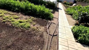 Участок 1 августа