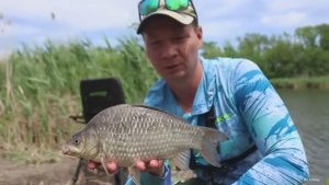 Карась_на_Pop_Up_из_под_камыша,_рыбалка_с_кормушкой_флэт_фидер