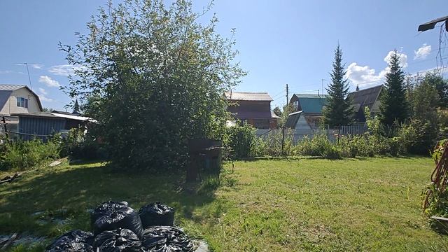 31-07-2025 смотреть онлайн