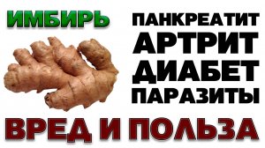 ИМБИРЬ - Польза и Вред (Самая популярная пряность, содержащая в себе множество свойств)