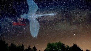 ЛЮБИТЕЛИ ПУТЕШЕСТВИЙ. О представителях цивилизаций, приходящих на Землю с планет 3 и 4 измерений