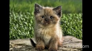 Да будет так!